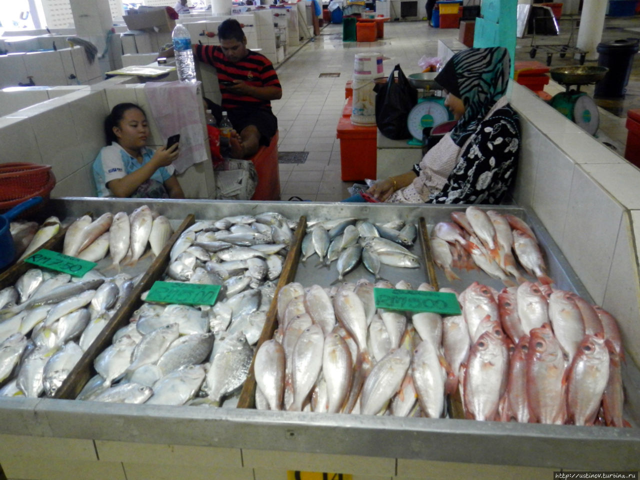 Самый стерильный и цивильный рыбный рынок Азии, о-в Лабуан Федеральная территория Лабуан, Малайзия