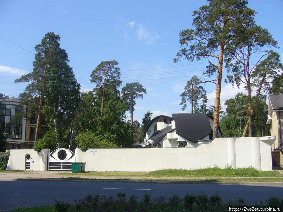 Под соснами Северной Ривьеры Сестрорецк, Россия Под соснами Северной Ривьеры Сестрорецк, Россия