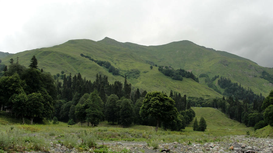 Альпийские луга Авадхары Авадхара, Абхазия
