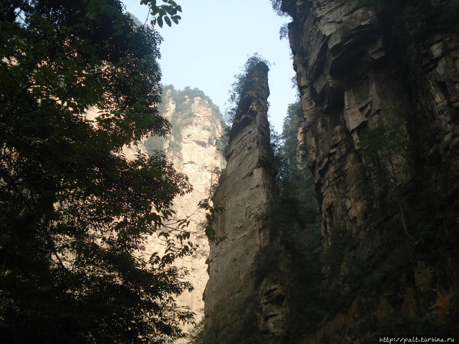 Ущелье Цзиньбяньси (Золотой Кнут) Чжанцзяцзе Национальный Лесной Парк (Парк Аватар), Китай