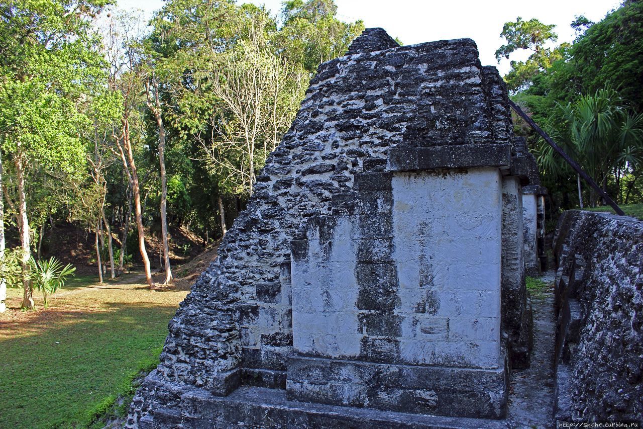 Площадь Семи Храмов Тикаль Национальный Парк, Гватемала