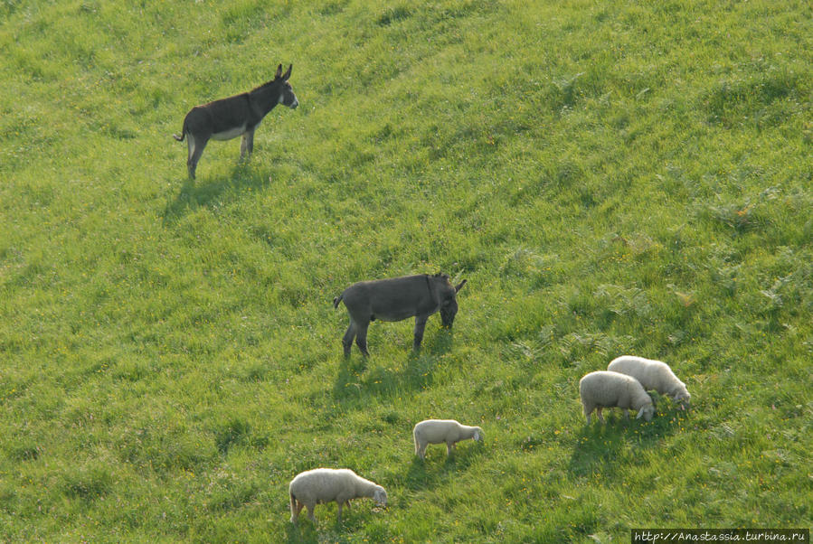 Жизнь в Небесах Толмин, Словения Жизнь в Небесах Толмин, Словения