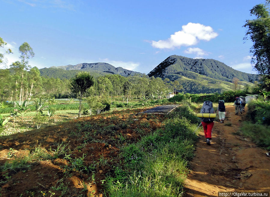 Мы отправляемся в поход. Впереди хребет Китанглад Мы отправляемся в поход. Впереди хребет Китанглад