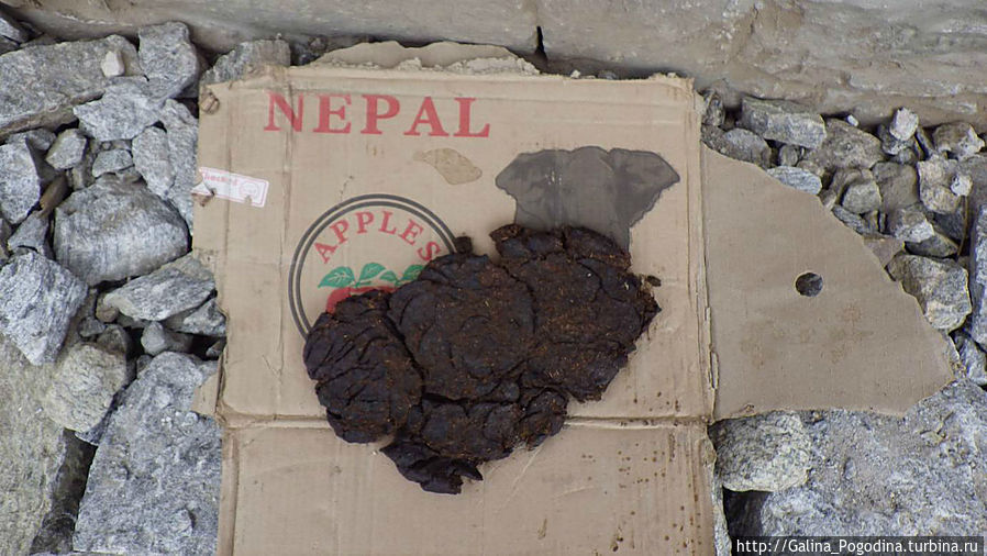 негласный символ Непала Непал