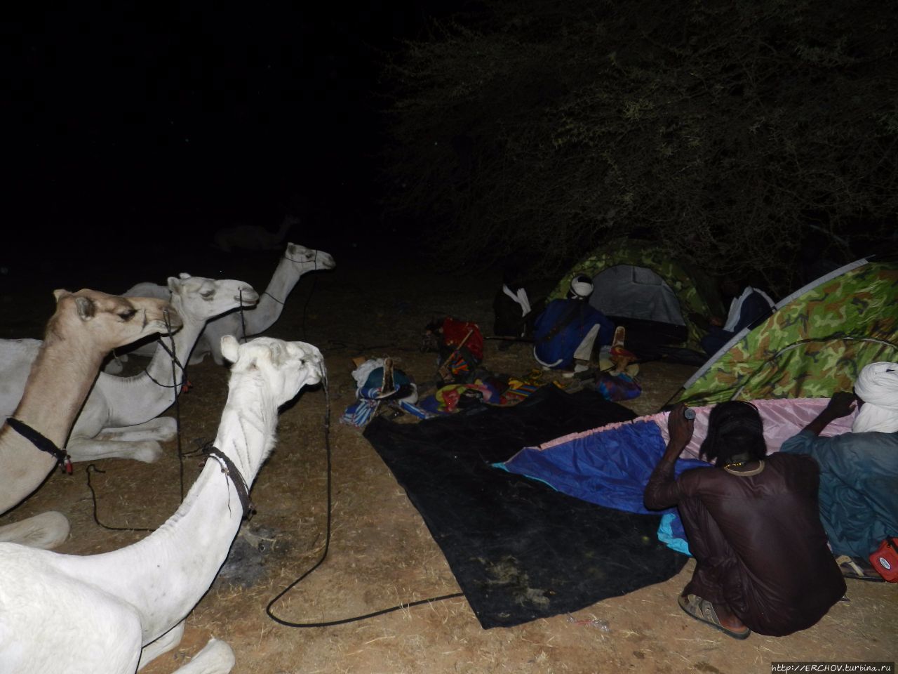 Нигер. Ч — 10. Ночные танцы Департамент Агадес, Нигер Нигер. Ч — 10. Ночные танцы Департамент Агадес, Нигер