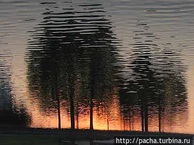 Беларусь фрагменты и зарисовки матушки природы Борисов, Беларусь Беларусь фрагменты и зарисовки матушки природы Борисов, Беларусь