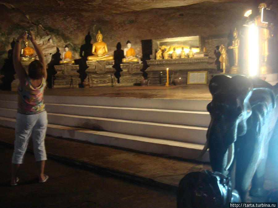 Буддийский храм под охраной обезьян Пхукет, Таиланд