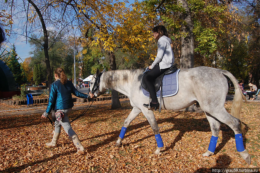 Катание на лошадях Саратов, Россия