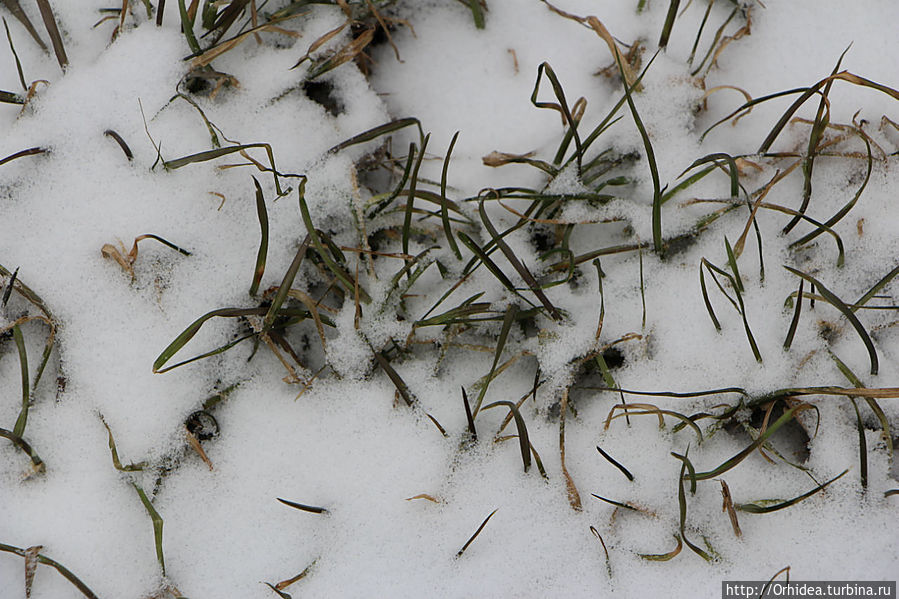 А весна уже была так близко... А весна уже была так близко...