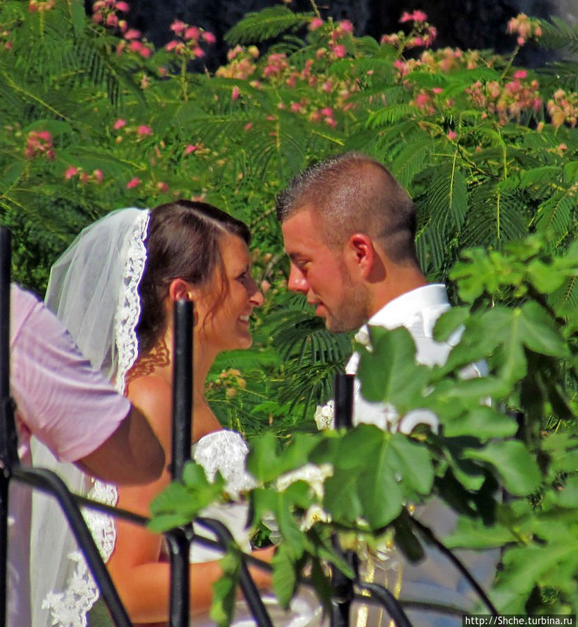 Люблю рассмартивать чужих невест... Босния Благай, Босния и Герцеговина