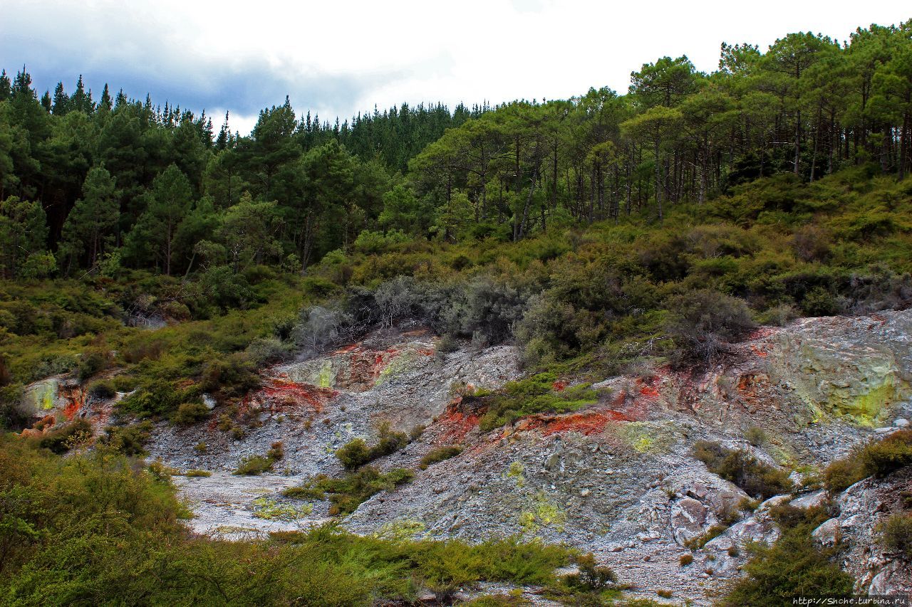Геотермальный парк Уаиотапу Уаиотапу, Новая Зеландия