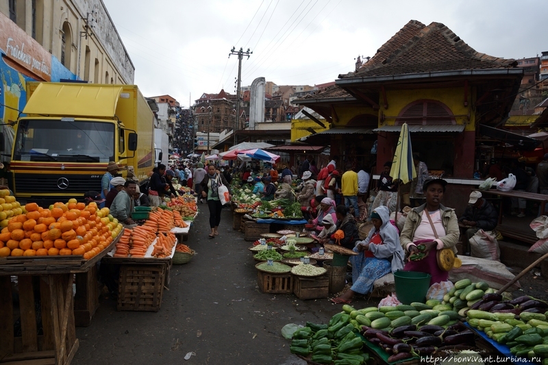 Рыно в тане Мадагаскар