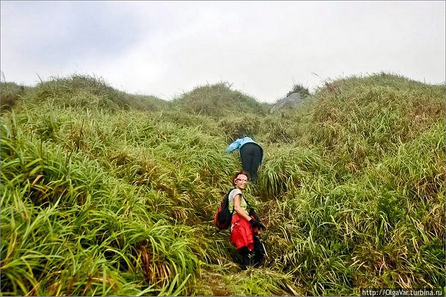 До верха осталось совсем немного... я обернулась и увидела идеально ровную площадку, как казалось сверху, откуда мы пришли. Болотце превратилось в маленькое озерцо, а наша стоянка — в еле заметные точки... До верха осталось совсем немного... я обернулась и увидела идеально ровную площадку, как казалось сверху, откуда мы пришли. Болотце превратилось в маленькое озерцо, а наша стоянка — в еле заметные точки...