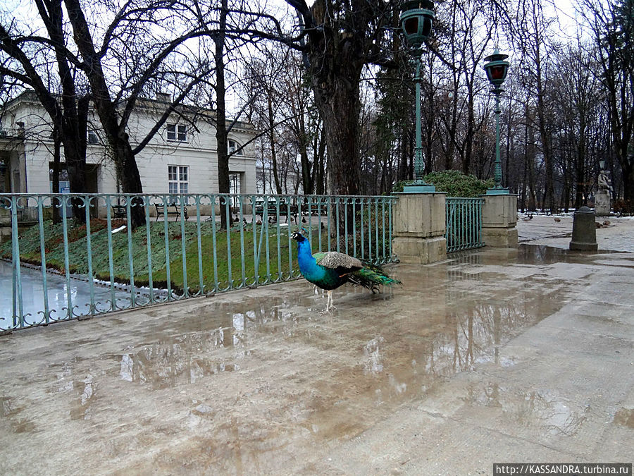 Декабрьская оттепель Варшава, Польша