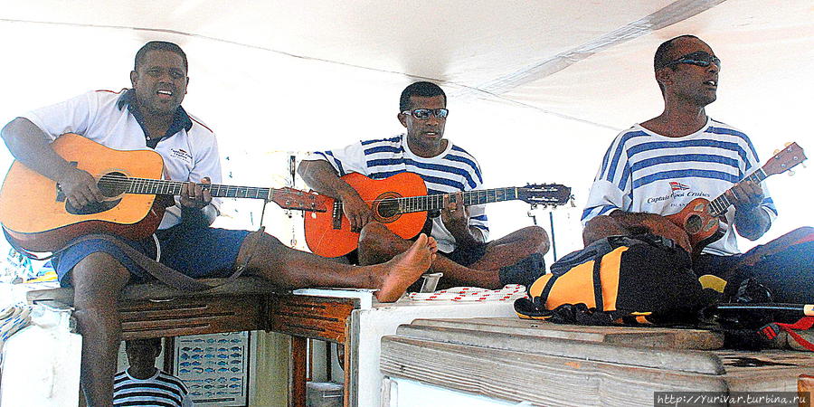 Концерт на ланче Остров Дравака, Фиджи
