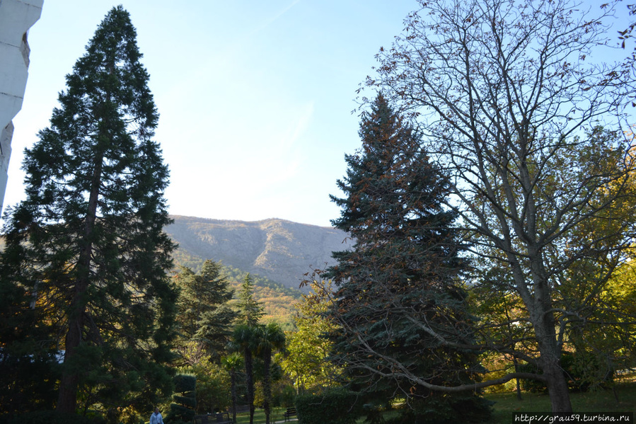 Гора Аю-Даг Партенит, Россия Гора Аю-Даг Партенит, Россия