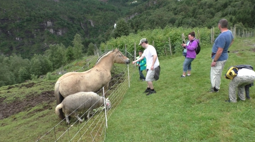 Ферма Ноли Столхейм, Норвегия Ферма Ноли Столхейм, Норвегия