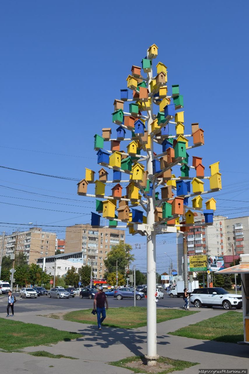 Дерево скворечников Энгельс, Россия