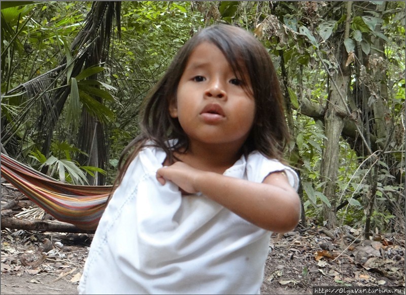 Юная представительница племени Коги Тайрона Национальный Парк, Колумбия