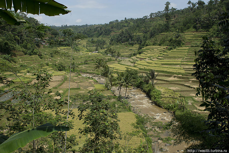 Чудесные виды центральной Явы. Чудесные виды центральной Явы.