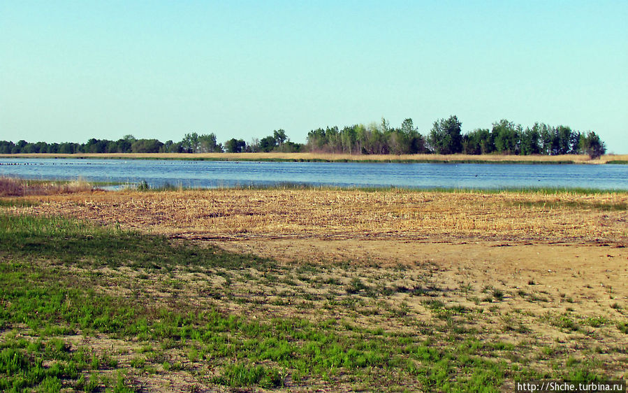 Городок на озере Гурон Пинконнинг, CША