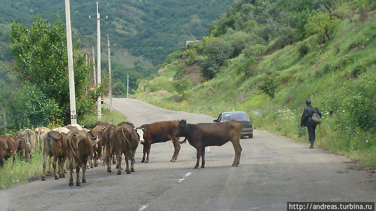 Дорога Тбилиси — Ереван Дорога Тбилиси — Ереван