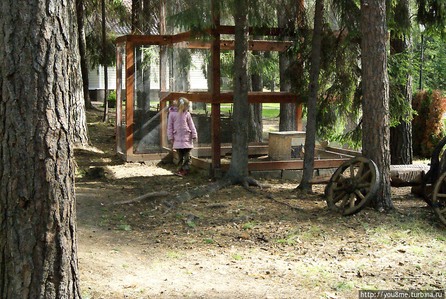 Поймайте мне кролика Нижегородская область, Россия Поймайте мне кролика Нижегородская область, Россия