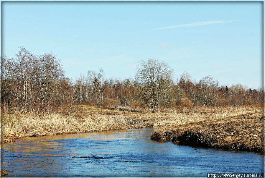 Река Коваш. Под весенним солнцем Сосновый Бор, Россия