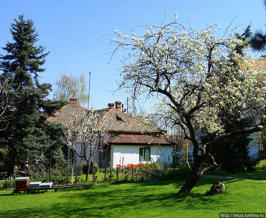 Весна в деревне Сремски-Карловци, Сербия
