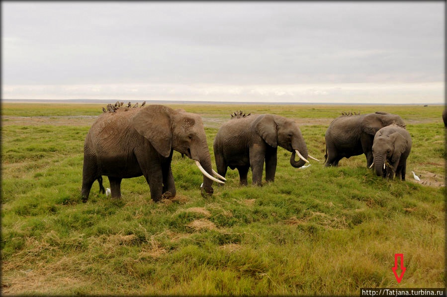 Итоги недели 14-20 апреля Итоги недели 14-20 апреля