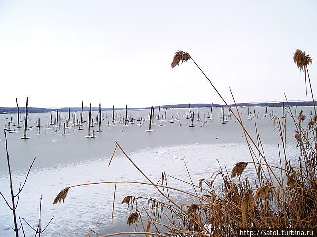 Тамбуканское озеро Майкоп, Россия