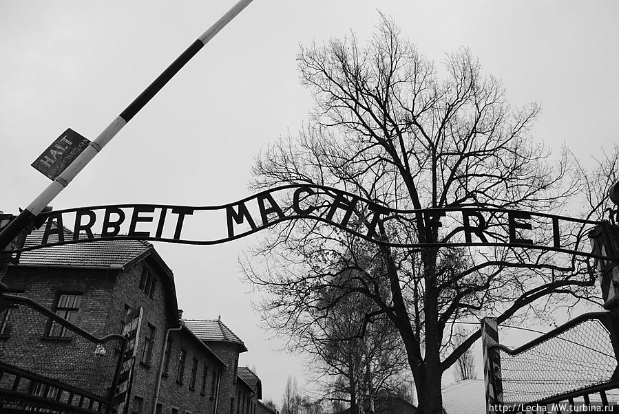 Труд освобожнает Освенцим, Польша
