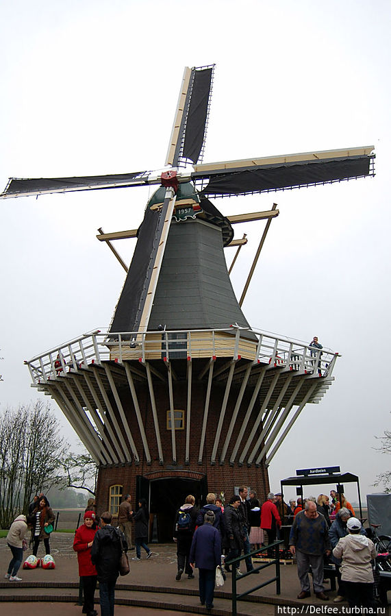 Царство тюльпанов: павильоны и оранжереи парка Кекенхоф Кёкенхоф, Нидерланды Царство тюльпанов: павильоны и оранжереи парка Кекенхоф Кёкенхоф, Нидерланды