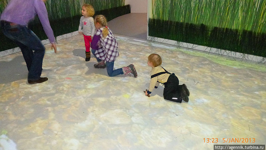 А здесь дети ловят рыбу в интерактивной реке А здесь дети ловят рыбу в интерактивной реке