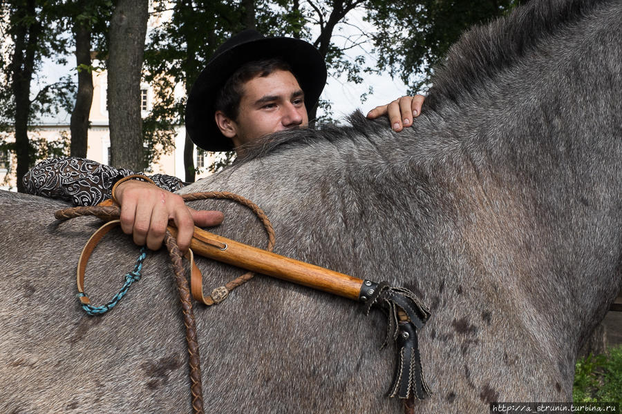 Как снимать у себя на даче?.. Москва, Россия Как снимать у себя на даче?.. Москва, Россия