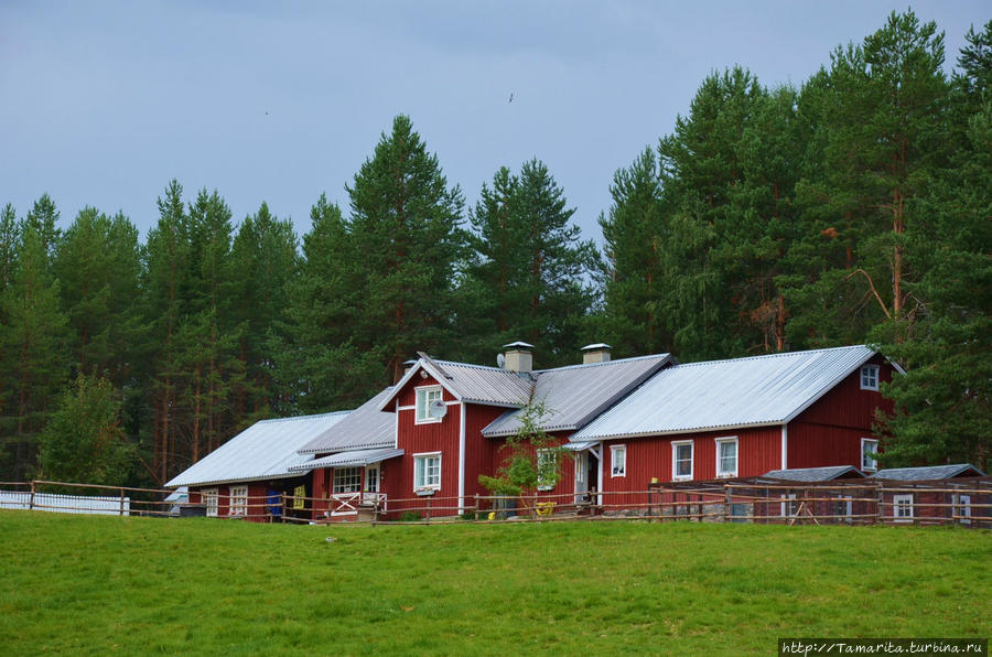 Хутор в таёжных лесах Кормило (озеро), Россия