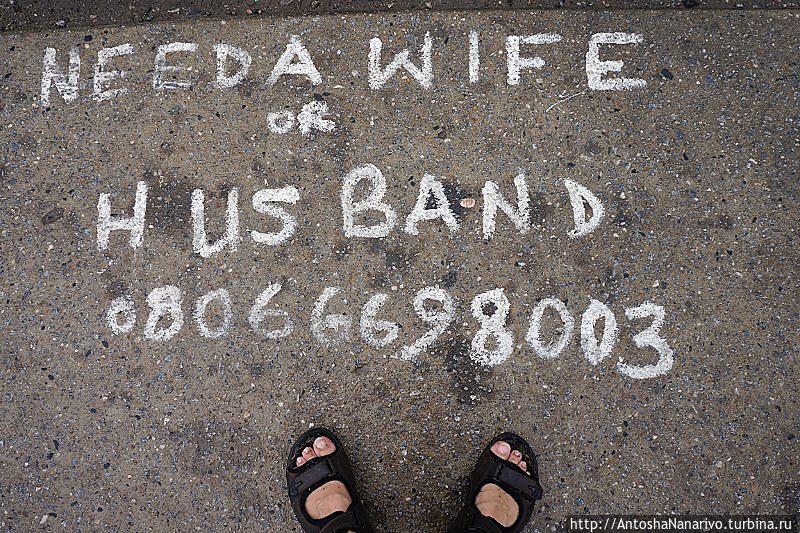 Тамада, баянист, жених и невеста Лагос, Нигерия Тамада, баянист, жених и невеста Лагос, Нигерия