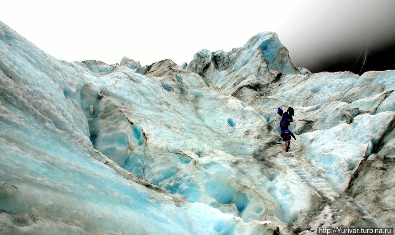Новая Зеландия. Трек на ледник Франца Иосифа Вестленд Таи Поутини Национальный парк, Новая Зеландия