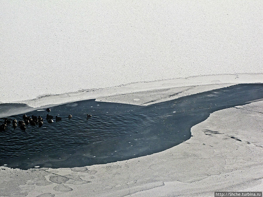 Замерзшие берега Дир Крик — поездка на исторической ж.д. Парк штата Дир Крик, CША
