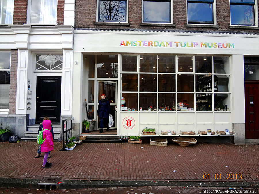 Музей одного растения Амстердам, Нидерланды