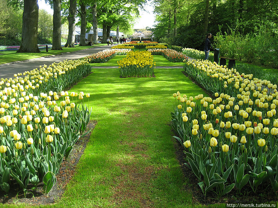 Парк тюльпанов Кёкенхоф Лиссе, Нидерланды