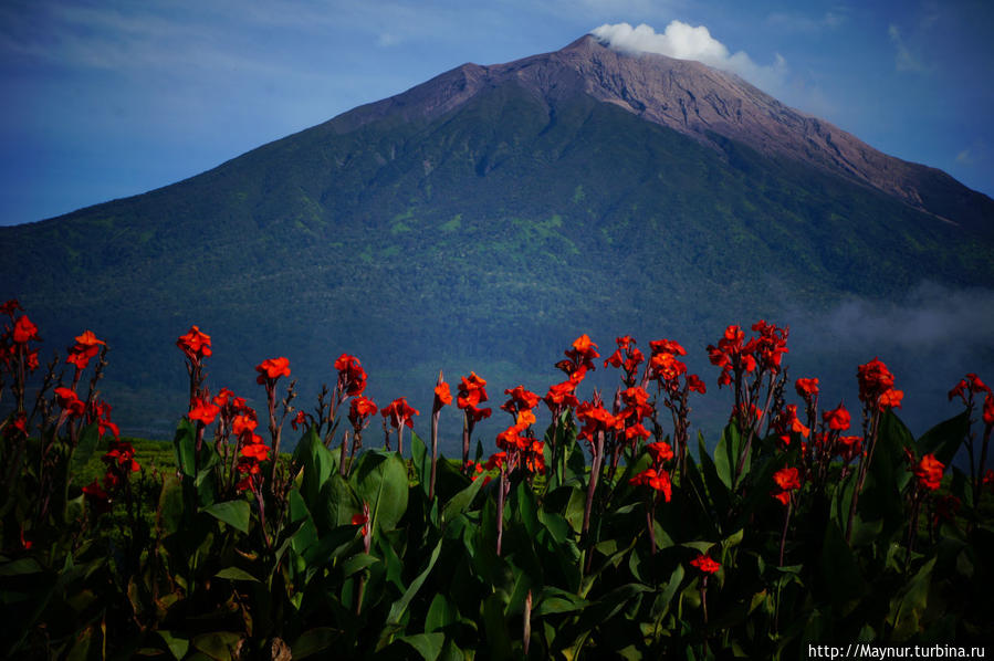 Восхождение    на   вулкан    Керинчи... Букиттинги, Индонезия
