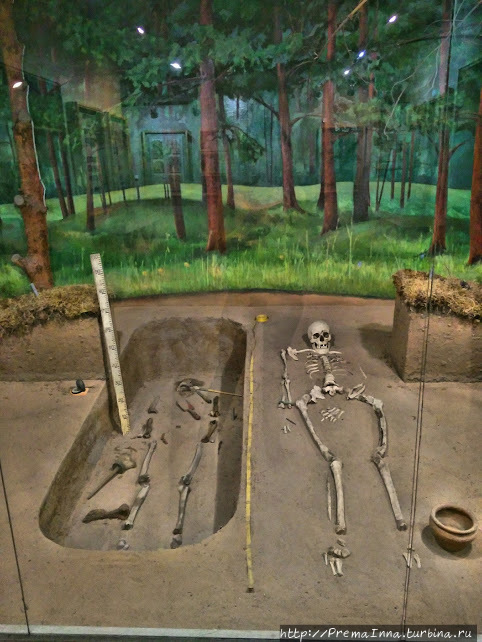 Скелеты, найденные в могилах рядом с древними поселениями