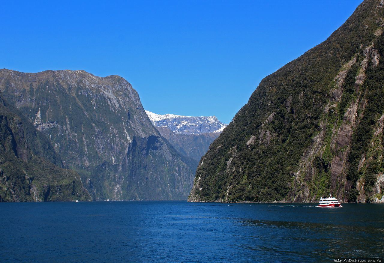 JUCY Cruise — наш выбор для круиза по фьорду Милфорд Саунд Фьорд Милфорд-Саунд, Новая Зеландия