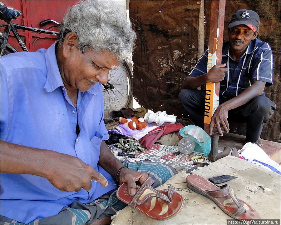 И почему у нас считалось, что сапожник — горькая пьяница. Сколько сапожников видела на Шри-Ланке, с виду приличные все мужчины, алкоголем от них не разило. Да и все при обуви были. И почему у нас считалось, что сапожник — горькая пьяница. Сколько сапожников видела на Шри-Ланке, с виду приличные все мужчины, алкоголем от них не разило. Да и все при обуви были.