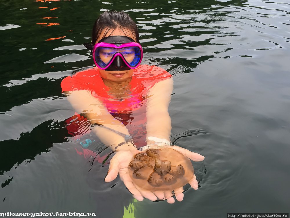Озеро медуз в Палау Палау