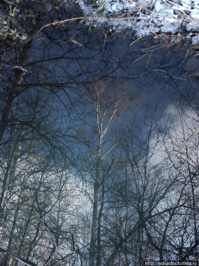 Оттаиваем и зеленеем))) Красноярск, Россия Оттаиваем и зеленеем))) Красноярск, Россия