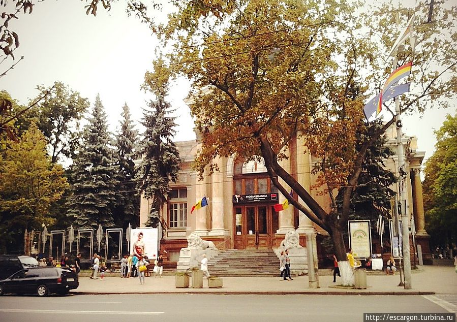 Органный зал (1903-1911).
Здание, где сейчас располагается Органный зал (бульвар Штефана Великого, 126), не всегда принадлежало музыке и искусству. Более того, оно и не проектировалось специально для этих нужд.Сначала там действовал так называемый “Дом Заимствований” священников – организация, осуществлявшая предоставление и распределение финансовой помощи священнослужителям в трудные для них времена, а также обеспечивавшая им некоторые льготы в различных областях общественной жизни.
Однако “Дом Заимствований” не мог оперировать большими средствами, и его финансовая деятельность была, таким образом, ограничена. В этой связи в 1922 году Епархиальный конгресс принял решение преобразовать “Дом Заимствований” в “Банк православных священнослужителей Бесарабии”. Приняв этот серьезный статус Банк, активизировал свою деятельность и стал финансовым учреждением.
После Второй Мировой войны, когда здание было отреставрировано и решалась его судьба, сыграла свою роль потрясающая акустика зала, остававшаяся до сих пор невостребованной. И теперь в здании, где концентрировались финансы бессарабской православной церкви, действует единственный в Кишиневе Органный зал. Сейчас, правда, здание находится в состоянии ремонта(но судя по всему совсем не быстрого и не совсем успешного). Органный зал (1903-1911).
Здание, где сейчас располагается Органный зал (бульвар Штефана Великого, 126), не всегда принадлежало музыке и искусству. Более того, оно и не проектировалось специально для этих нужд.Сначала там действовал так называемый “Дом Заимствований” священников – организация, осуществлявшая предоставление и распределение финансовой помощи священнослужителям в трудные для них времена, а также обеспечивавшая им некоторые льготы в различных областях общественной жизни.
Однако “Дом Заимствований” не мог оперировать большими средствами, и его финансовая деятельность была, таким образом, ограничена. В этой связи в 1922 году Епархиальный конгресс принял решение преобразовать “Дом Заимствований” в “Банк православных священнослужителей Бесарабии”. Приняв этот серьезный статус Банк, активизировал свою деятельность и стал финансовым учреждением.
После Второй Мировой войны, когда здание было отреставрировано и решалась его судьба, сыграла свою роль потрясающая акустика зала, остававшаяся до сих пор невостребованной. И теперь в здании, где концентрировались финансы бессарабской православной церкви, действует единственный в Кишиневе Органный зал. Сейчас, правда, здание находится в состоянии ремонта(но судя по всему совсем не быстрого и не совсем успешного).