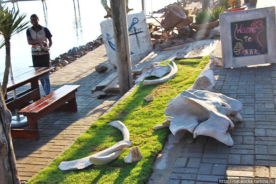 Два счастливых дня в Уолфиш-Бей. Уолфиш-Бей, Намибия Два счастливых дня в Уолфиш-Бей. Уолфиш-Бей, Намибия