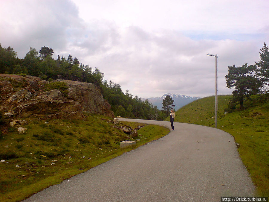 Там, где начинается асфальт или норвежские дороги Норвегия